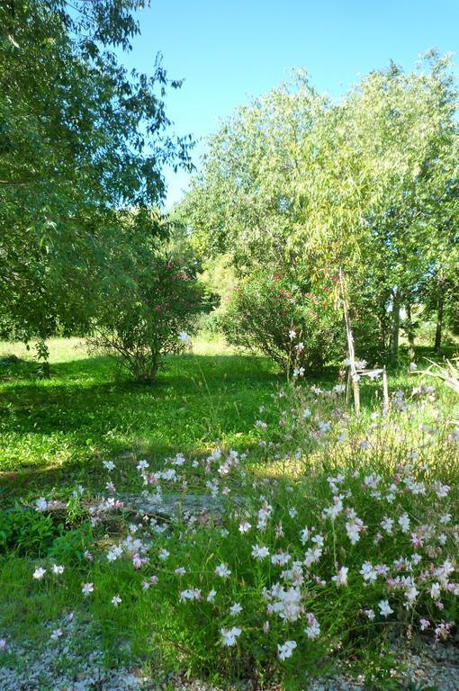Le Mas De La Chouette Saint-Rémy-de-Provence Kültér fotó