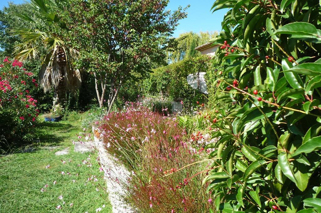 Le Mas De La Chouette Saint-Rémy-de-Provence Kültér fotó