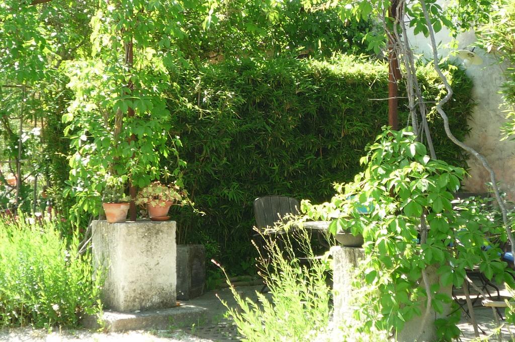 Le Mas De La Chouette Saint-Rémy-de-Provence Kültér fotó